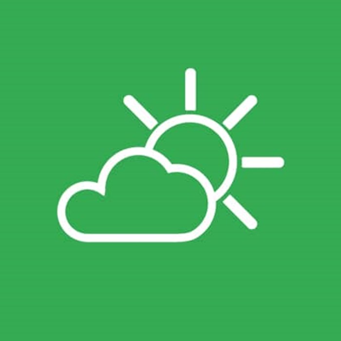 Icon Greenwheels weather info