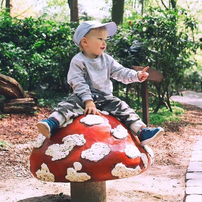 Dagje Weg Greenwheels Efteling Gezin Kind Op Paddenstoel In Sprookjesbos