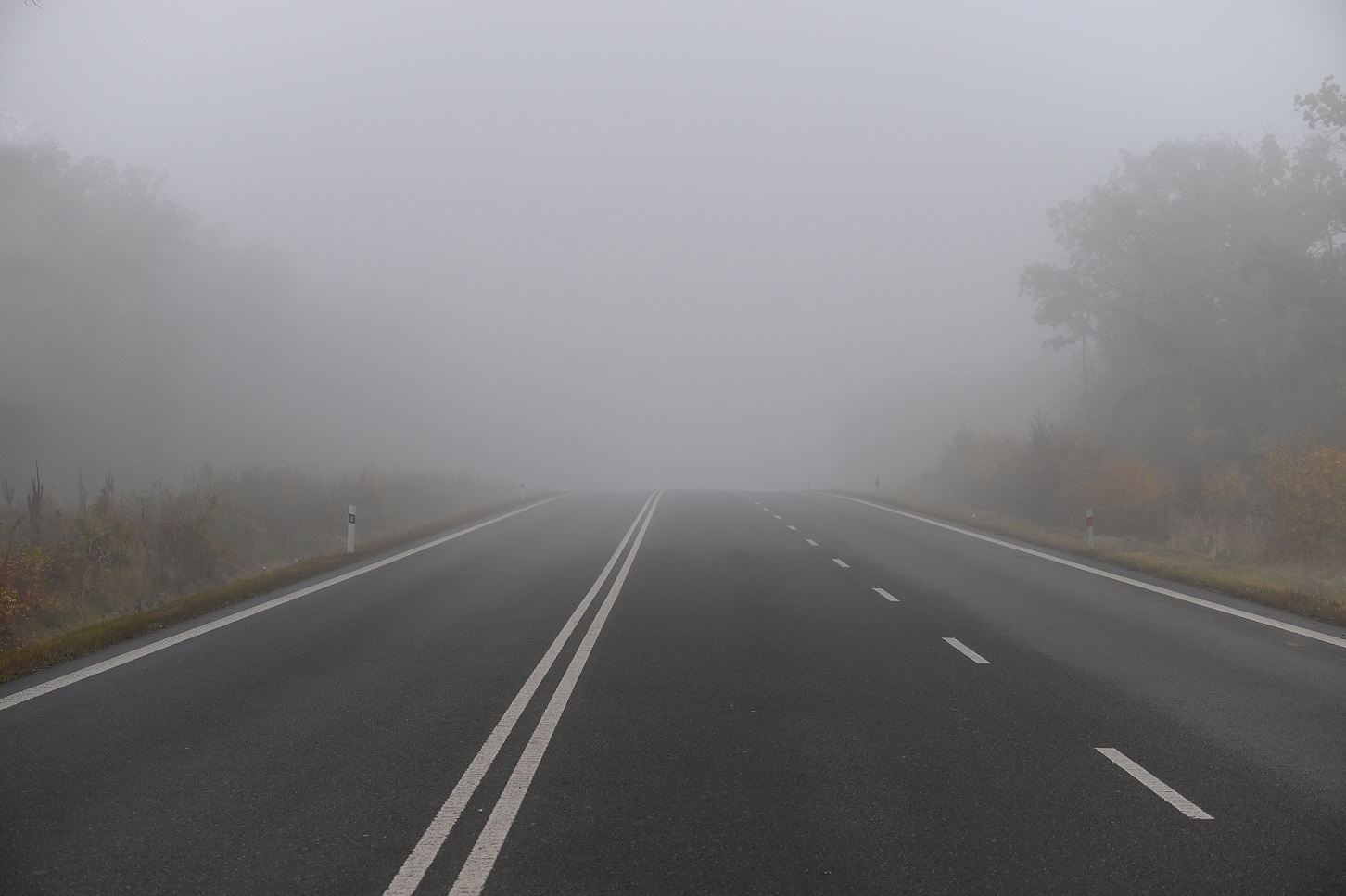 Greenwheels mist op de weg mistlampen aan