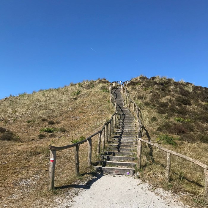 Pad door duinen