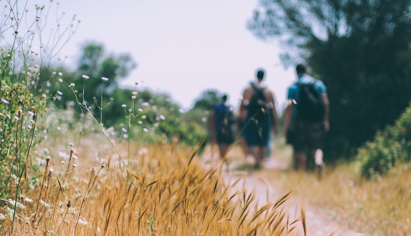 Groep wandelaars wandelvakantie natuurgebied wandeltocht Greenwheels