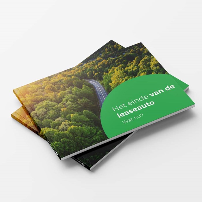 Greenwheels Whitepaper Einde Deelauto Zakelijk Rijden close-up