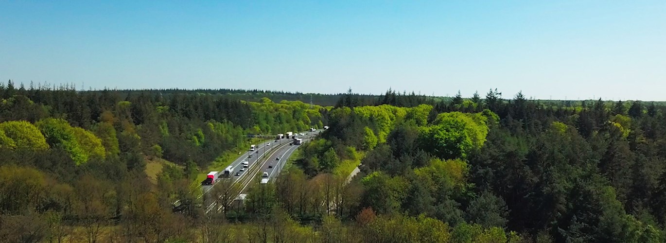 Snelweg groen bos