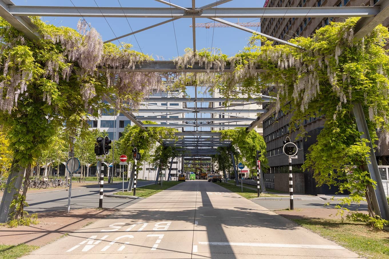 Groene ruimte in Eindhoven busbaan Strijp S leuke citytrip