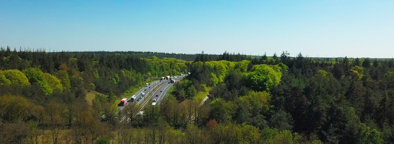 Landschap snelweg groen bos