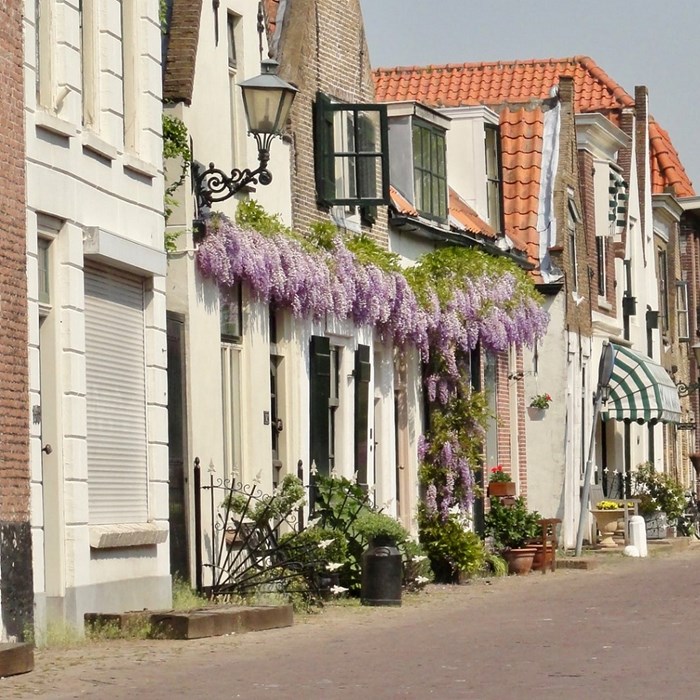 Straat in Brielle Vakantie in Nederland - Greenwheels 
